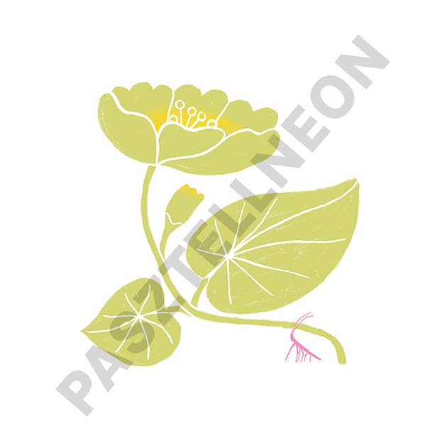 Pasztellneon lino plants print